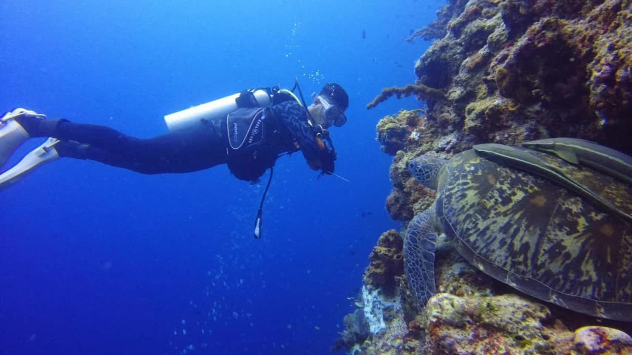Scuba diving among the coral reefs of Bunaken