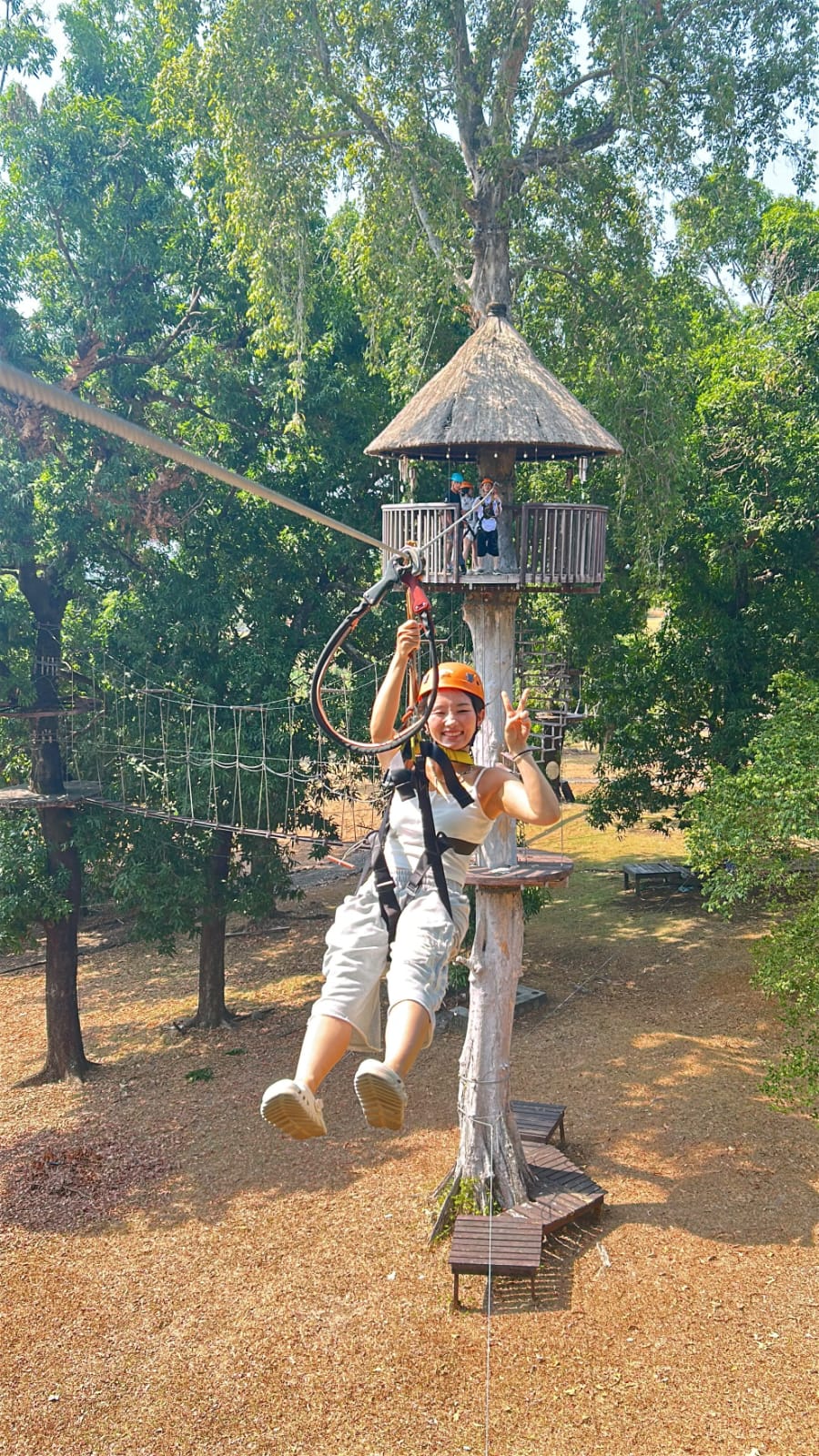 Zipline adventure surrounded by tropical scenery